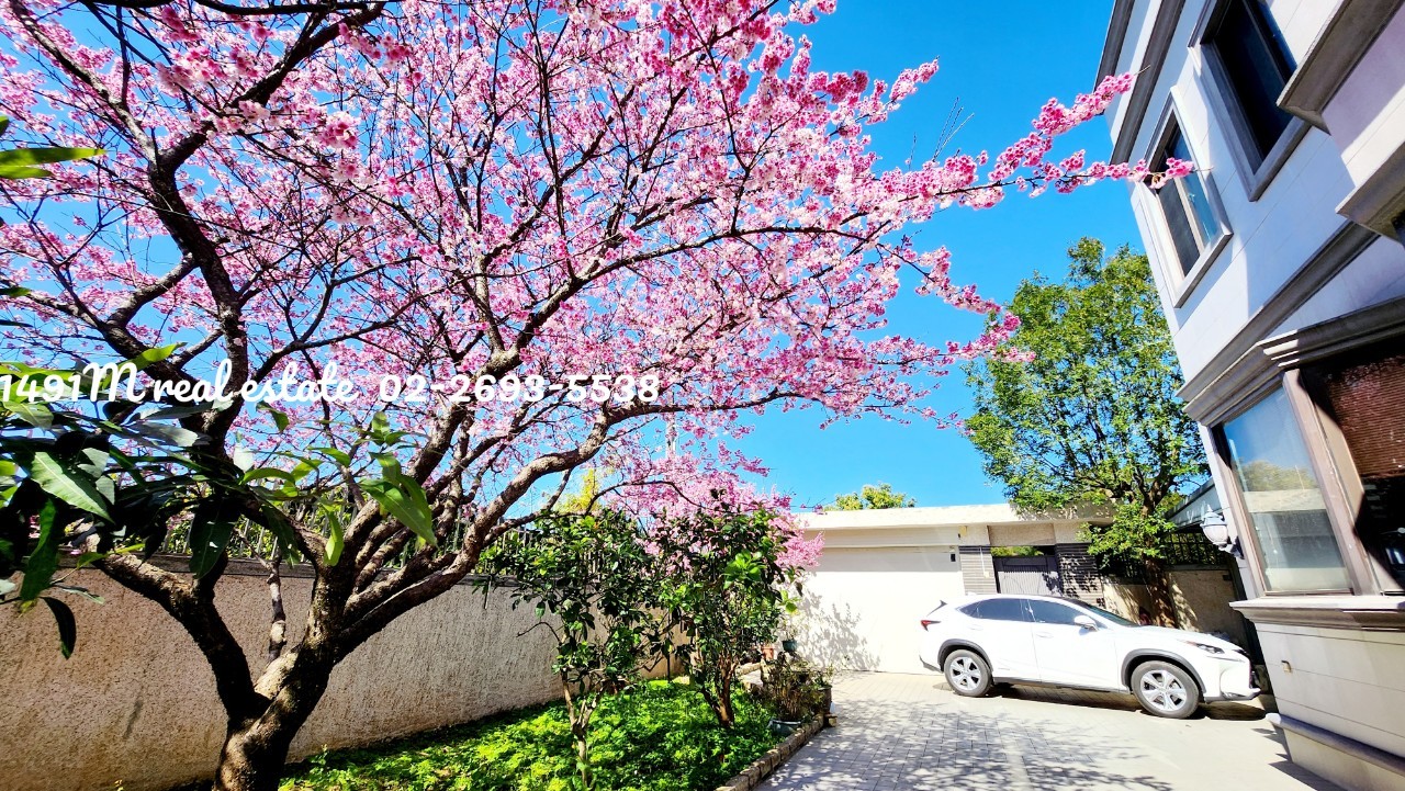 陽明山櫻花別墅土地